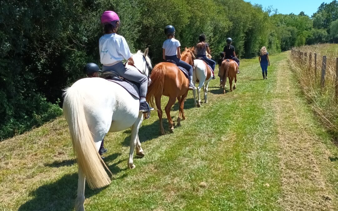 Ecole ouverte et Cheval