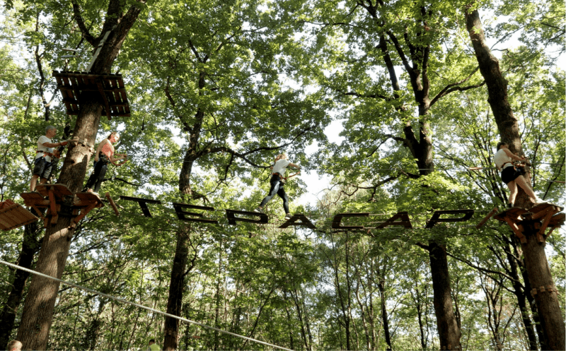 L’AS à l’accrobranche